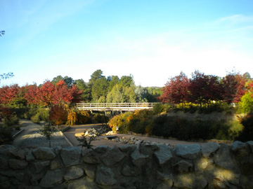 Chinese Gardens